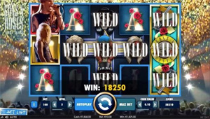 Guns 'n Roses slot Wilds