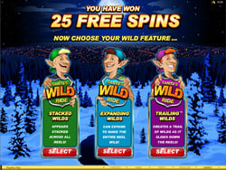 Santa's Wild Ride Free Spins Bonus