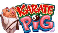 Karate Pig Slot