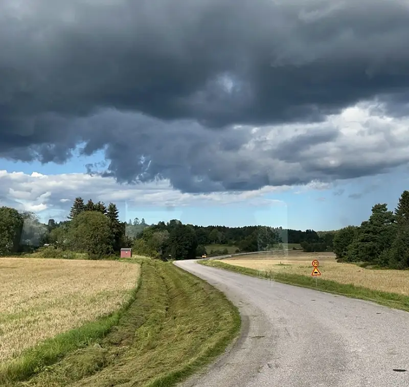 Dikesklippning