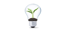 planta