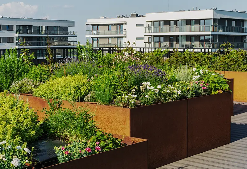 Trädgårdsanläggning Markentreprenad Göteborg