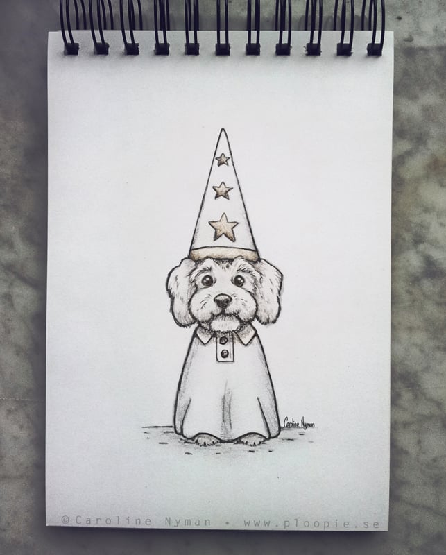 Star dog