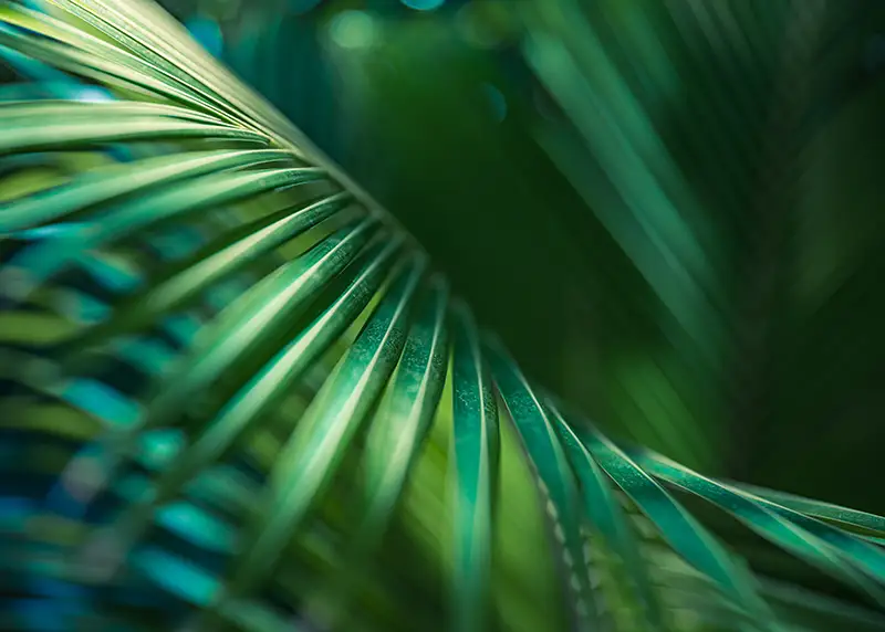 revisionsbyrå Stockholm BRF