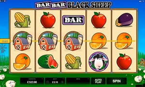 Bar Bar Black sheep Slot