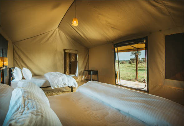 Pure Tented Camps