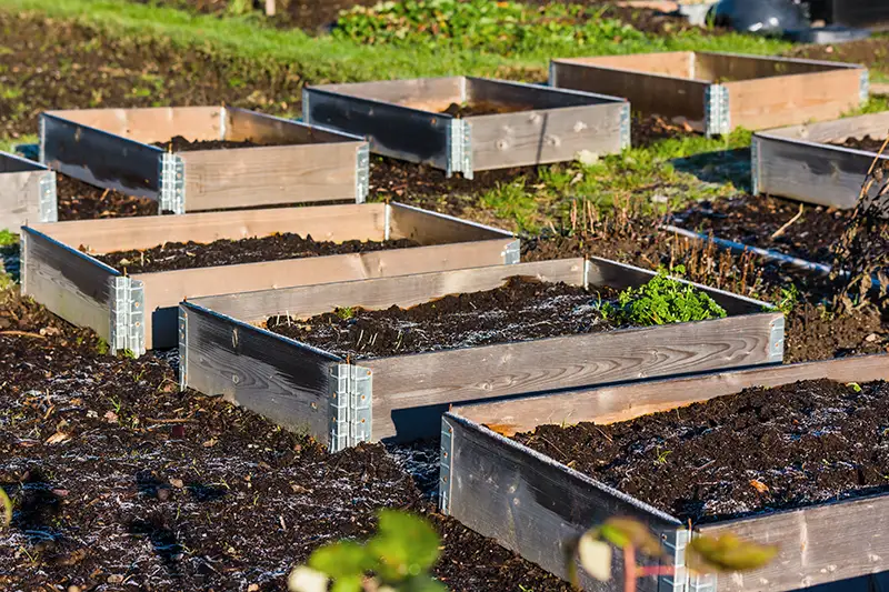 pallkrage för odling
