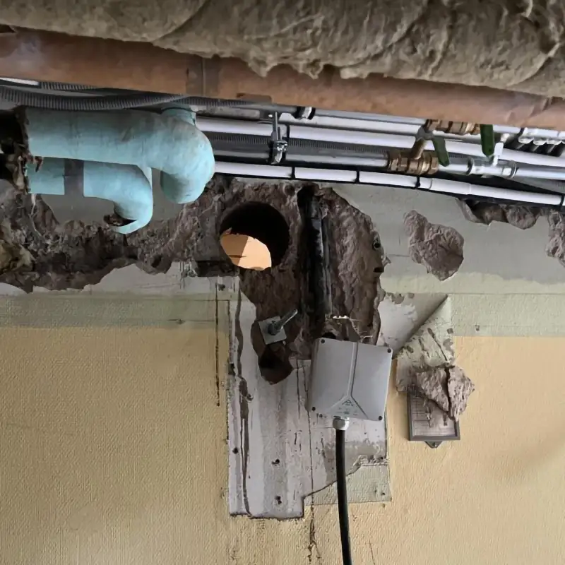 sanering norrköping