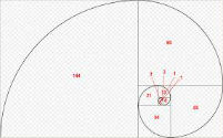 Fibonacci For Forex Trading