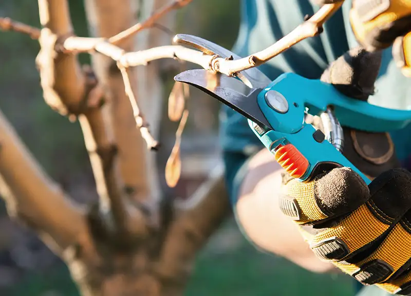 trädgårdsanläggning stockholm