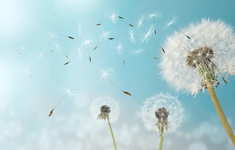 delar av ventilationssystem