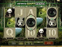 Untamed Giant Panda Video Slot