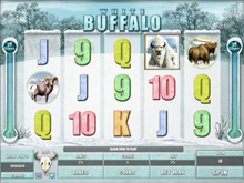 White Buffalo Video Slot